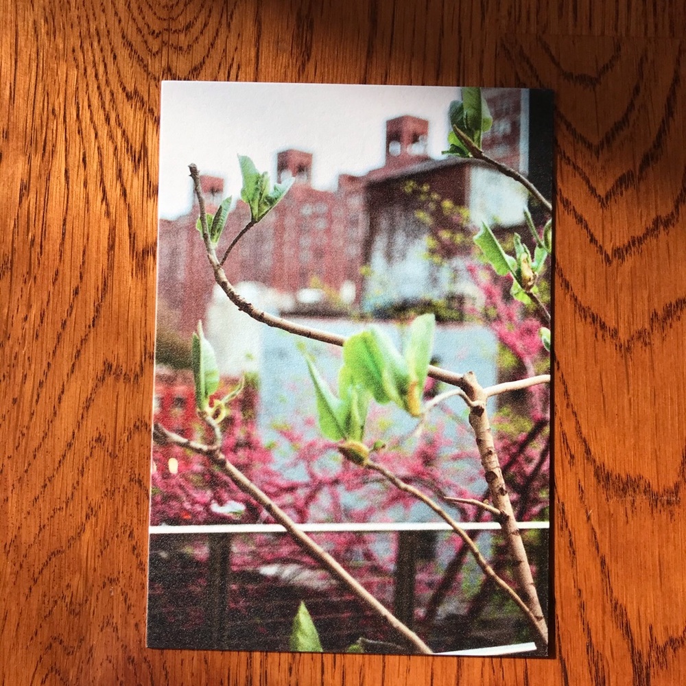 NYC Art Prints 3.5x5 Work as Postcards Too! - Picture 3 of 4